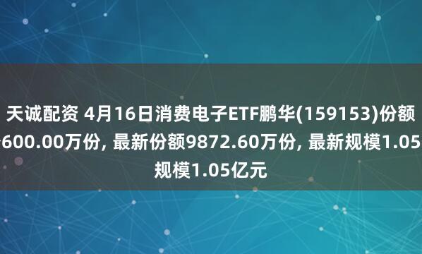 天诚配资 4月16日消费电子ETF鹏华(159153)份额减少600.00万份, 最新份额9872.60万份, 最新规模1.05亿元