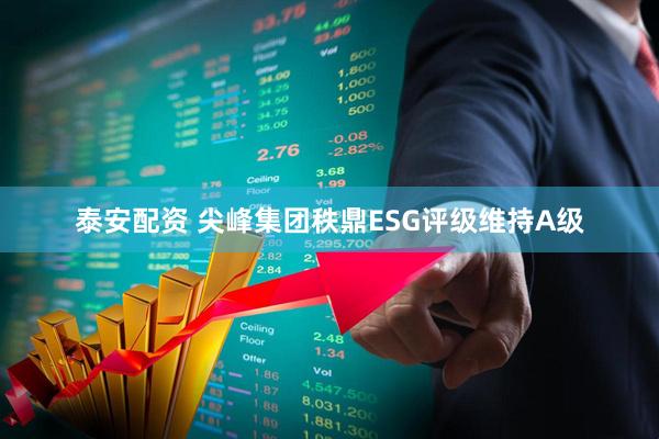 泰安配资 尖峰集团秩鼎ESG评级维持A级